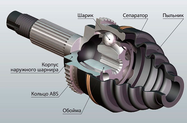 ШРУС в разрезе