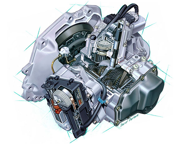 РКПП в разрезе