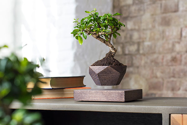 Левитирующий горшок