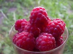 малина в стакане малина в стакане