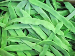 стручковый горох