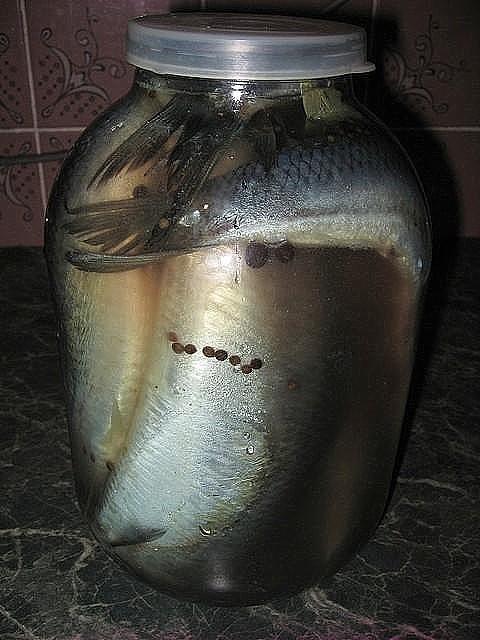 как засолить селедку в банке