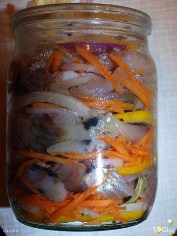 домашняя засолка селедки по-голландски