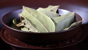 лавровый лист