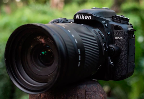 Всё, что вы хотели знать о зеркальных фотоаппаратах Nikon: обзор, функции и рекомендации по выбору