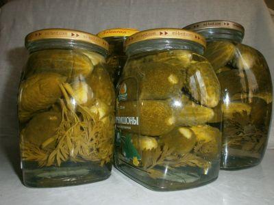 огурцы с морковной ботвой