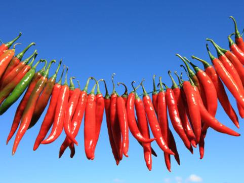 перец чили