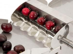 удаление косточек из вишни