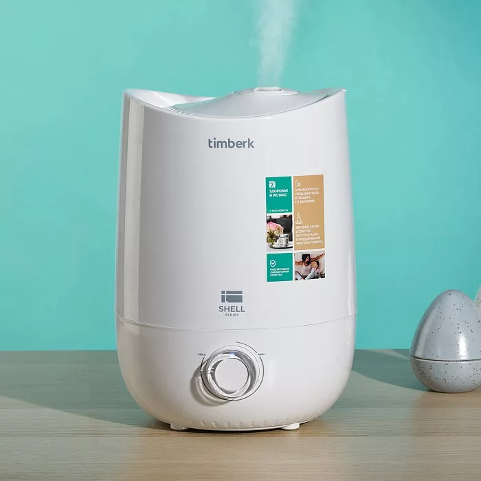 Увлажнитель воздуха для зимы: виды, нормы влажности и как не устроить «болото» дома