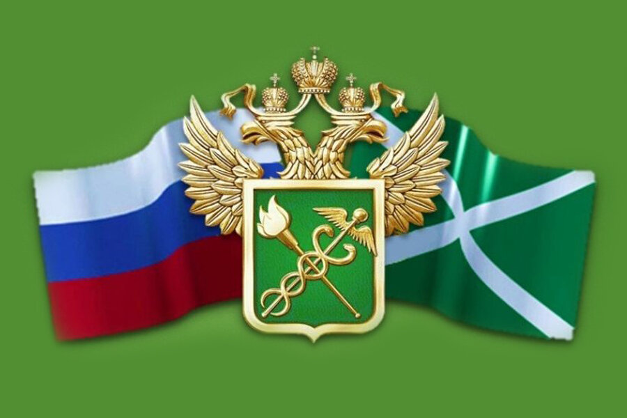 Новые правила ввоза авто из ЕАЭС: подробная инструкция (2024–2025)