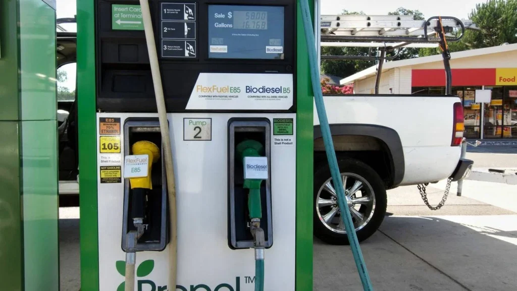 Биотопливо в России: где заправляться экологично