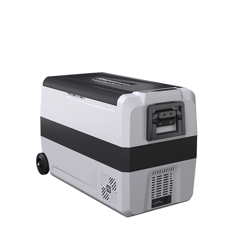 ТОП-5 автомобильных холодильников: 12В и 220В