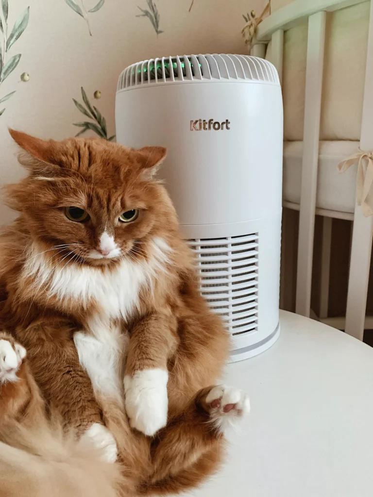 Очистители воздуха с УФ и HEPA-фильтрами: защита от аллергенов и вирусов